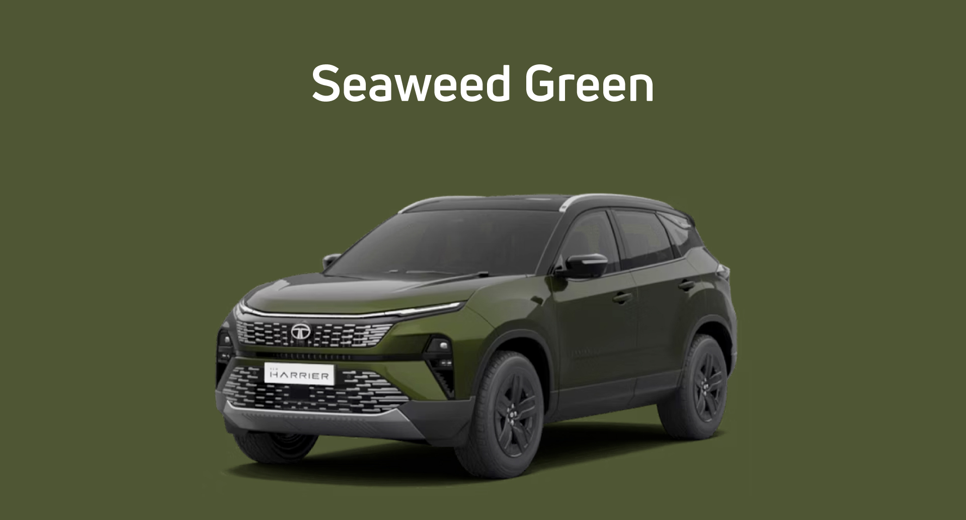 Tata harrier Daytona Grey Color