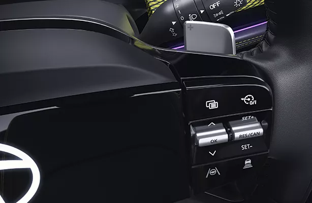 Tata Harrier Dual Paddle Shifters