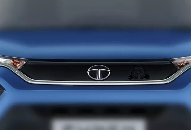 Signature Humanity Line Signature Humanity Line