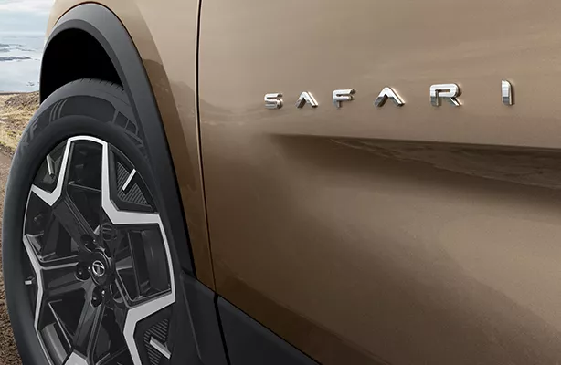 Tata Nexon Height Adjustable Seatbelts Tata Nexon Height Adjustable Seatbelts