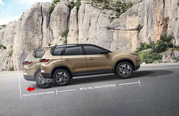 Tata Nexon Signature LED Tail Lamps Tata Nexon Tri Arrow Signature Led Tail Lamps